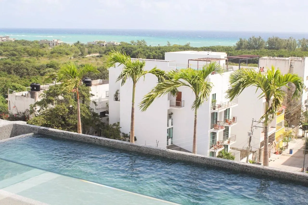 Charming, Huge & Bright Studio On The New 5Th Avenue, 3 Blocks From The Beach! Playa del Carmen Apartment